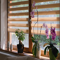 roller shutter
